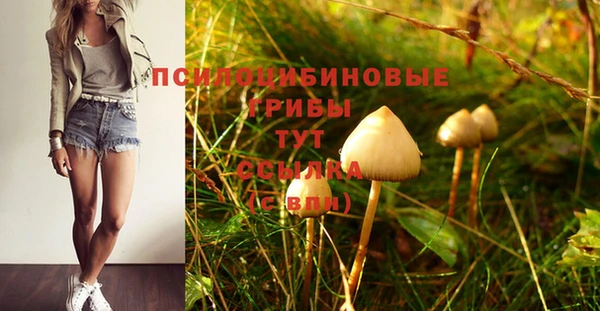 MDMA Баксан