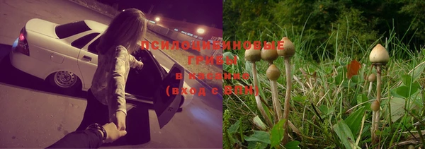 спайс Слюдянка